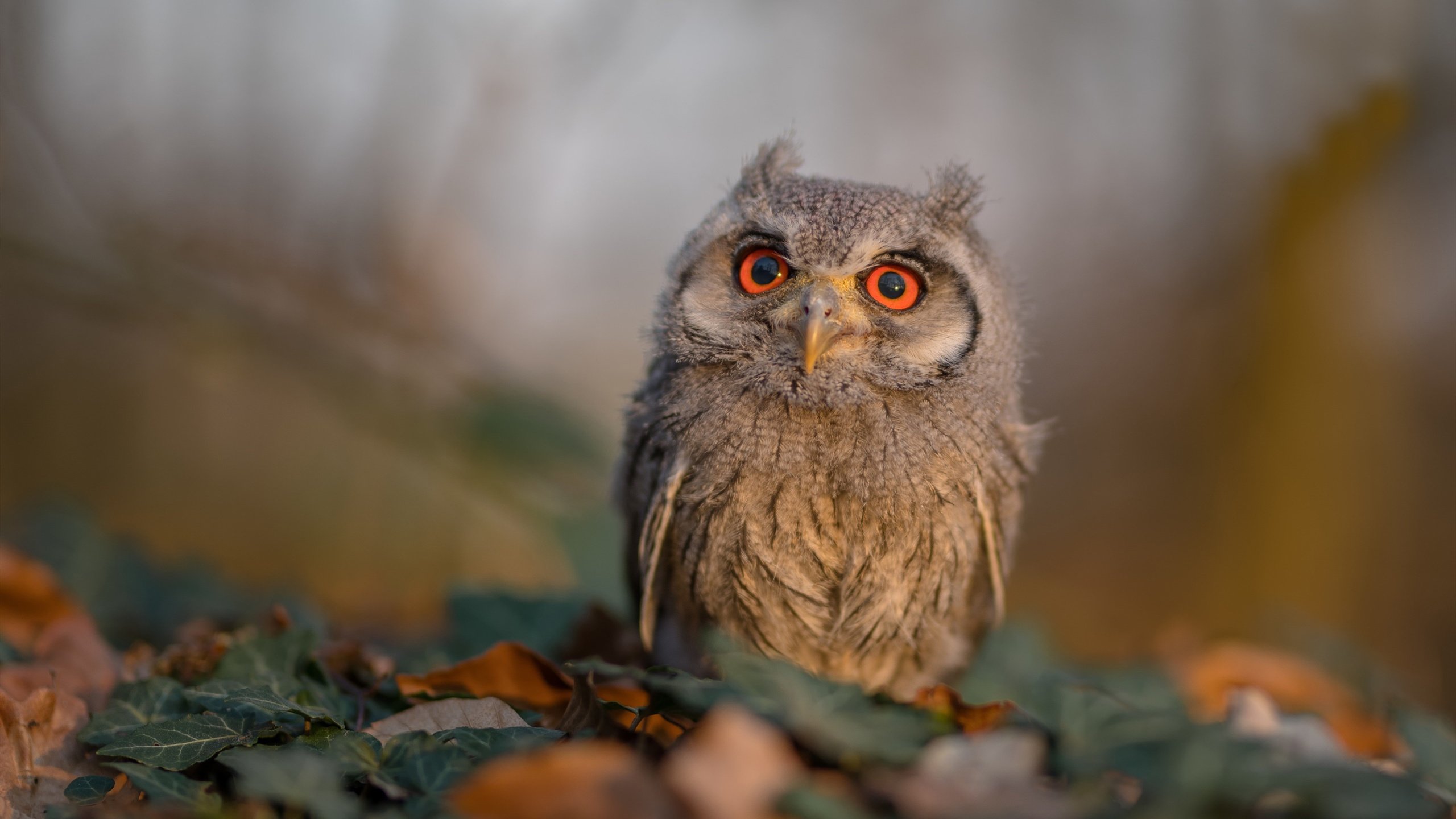 西甲球队采用机器学习预测对手传球线路变化,西甲联赛用球