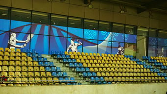 九游娱乐入口-高校体育赛事安全管理体系构建，学校体育赛事体系