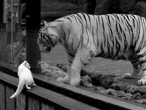 九游官网入口下载-东亚杯中国足球惨败 球迷呼吁加强训练体系，东亚足球联合会杯