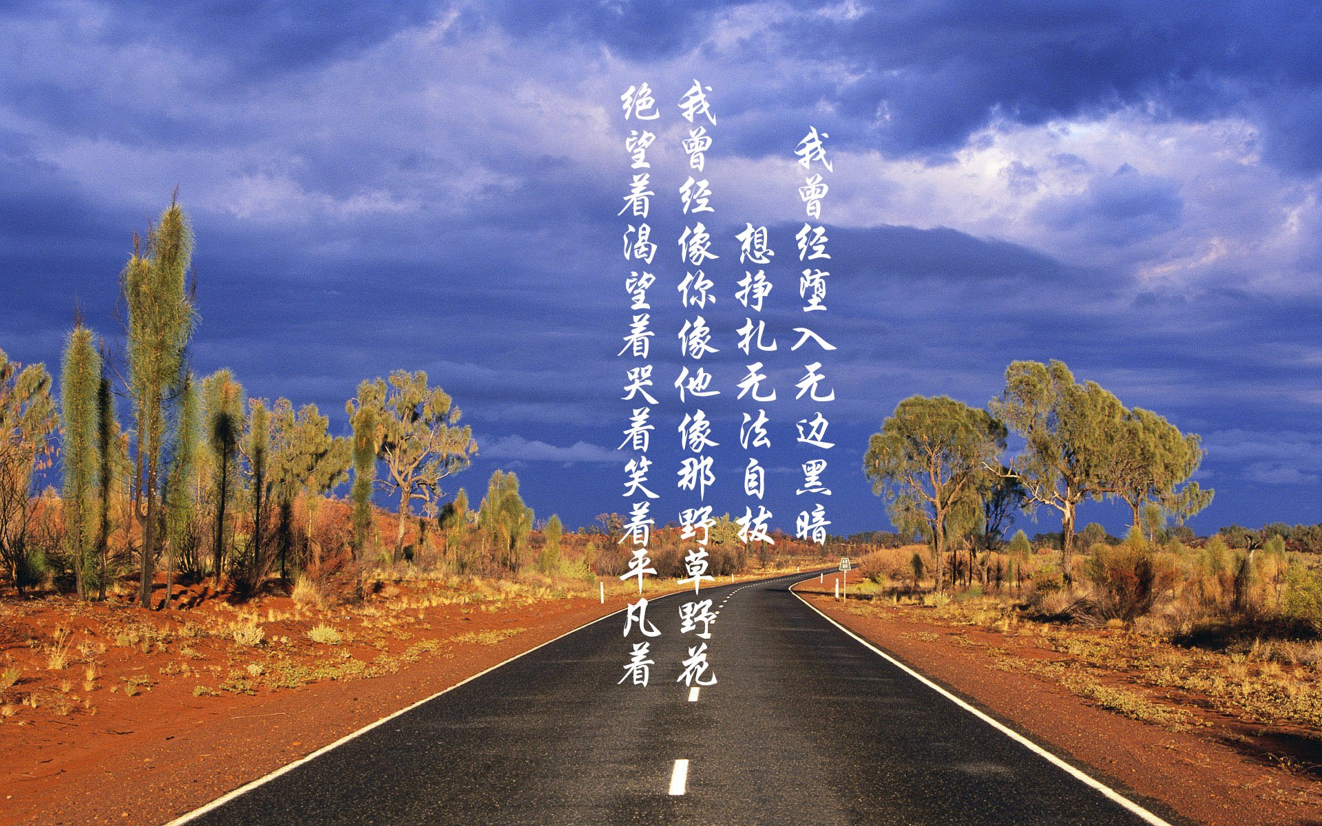 体育新闻中心协助地方体育局数字传播能力提升，撰写一份体育传播活动中新媒体使用情况调查报告