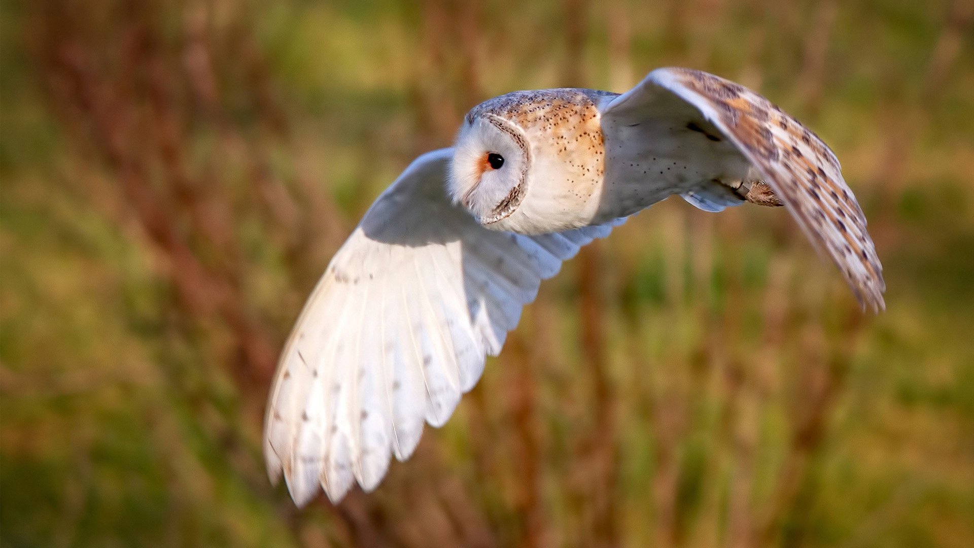 全民健身周活动与博物馆联动打造互动体验，全民健身活动报道