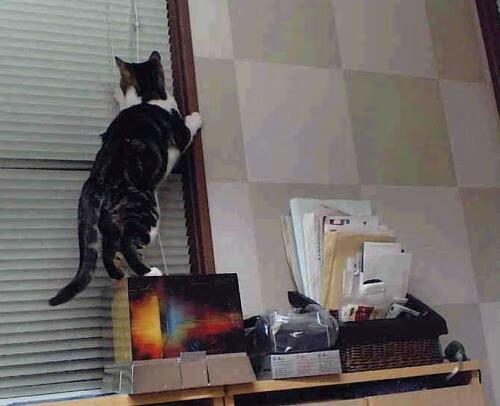 慢节奏下防守轮转是否更能体现团队默契，防守横向移动慢怎么练