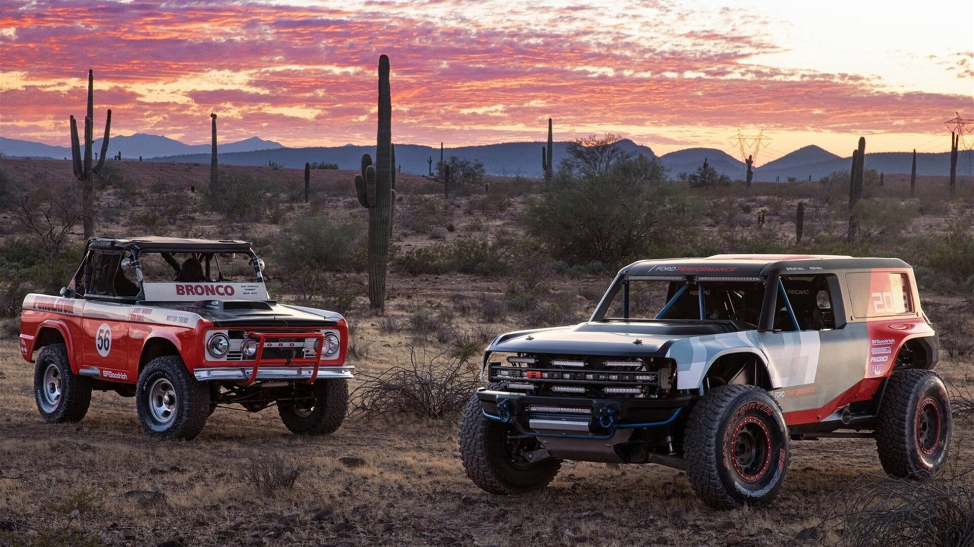 杨瀚森场均贡献全面攻防俱佳表现抢眼，杨瀚森 篮球