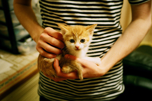 波兰队未来发展计划：提升青少年选手的国际竞争力，波兰队实力如何