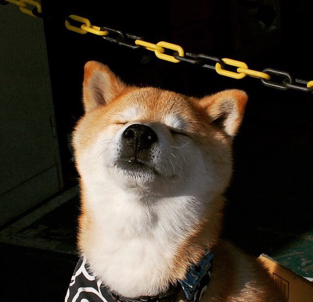 花样滑冰服装安全系数纳入评分参考，花样滑冰服装面料