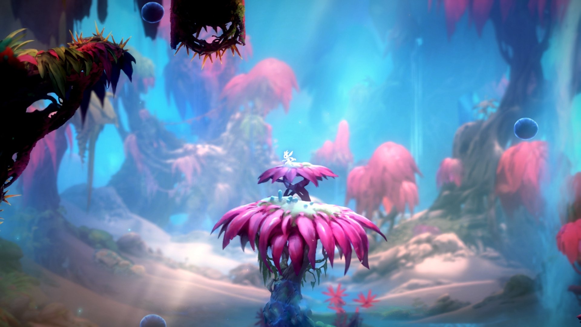 希腊女篮在欧洲锦标赛中再夺冠军,诠释传统力量的坚韧,希腊女篮世界排名